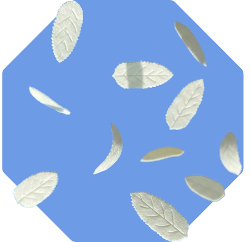 Nicleaf pouches on a blue background